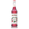 Monin Raspberry Syrup 750 mL
